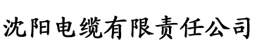 一家乱战电缆厂logo